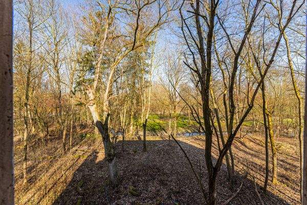 Schloßstraße 8 - Illesheim-12