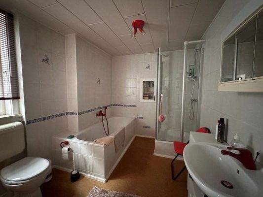 Bad mit Wanne, Dusche, WC im EG