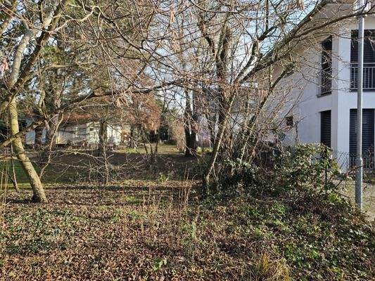 Impressionen Grundstück