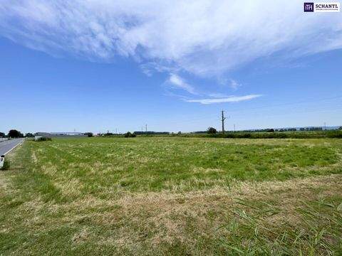 Mitterndorf an der Fischa Industrieflächen, Lagerflächen, Produktionshalle, Serviceflächen