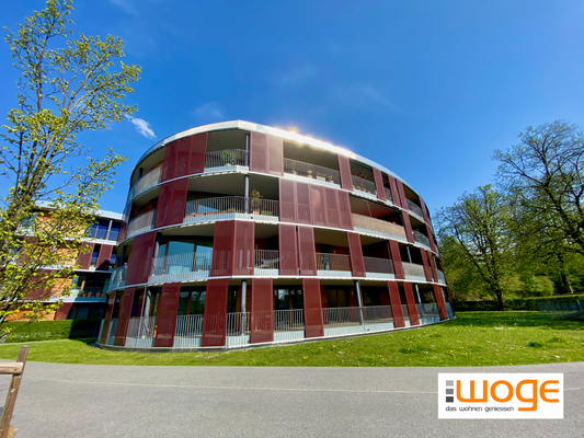 IMG_9039 mit Logo verkleinert.png