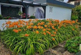 Blick auf die Terrasse