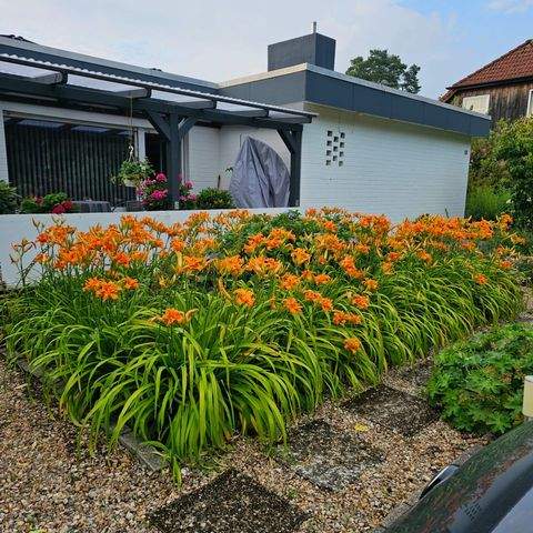 Zernien Häuser, Zernien Haus kaufen