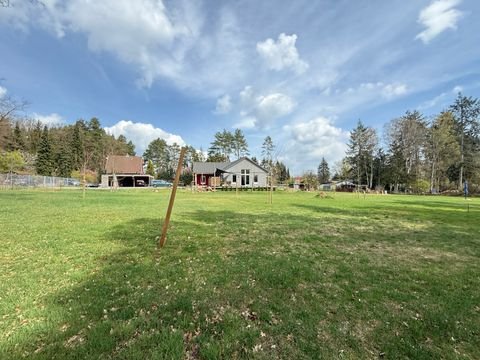 Neu Darchau Häuser, Neu Darchau Haus kaufen