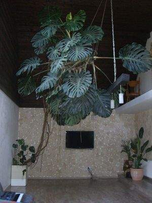 Wohnzimmer nach Norden