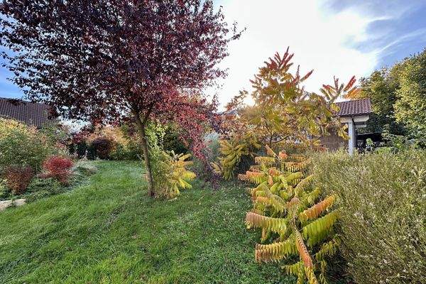 Grundstück mit Blick nach Westen