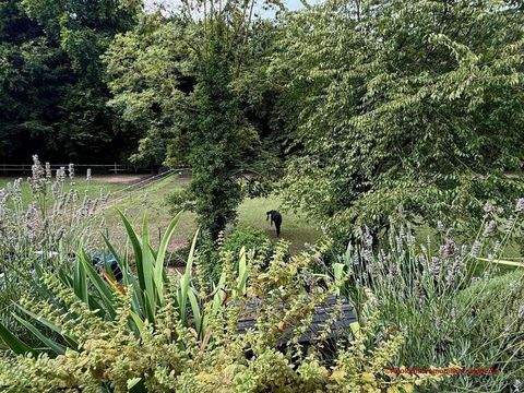 Balkonblick auf Pferdeweiden