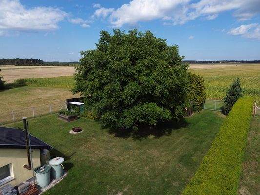 Garten im hinteren Teil des Grundstücks