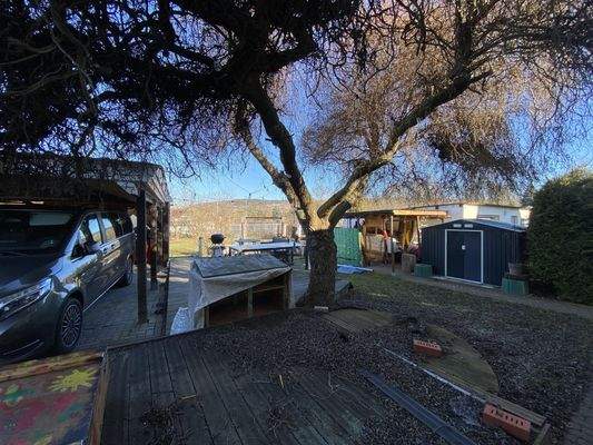 vorderer Teil vom Garten