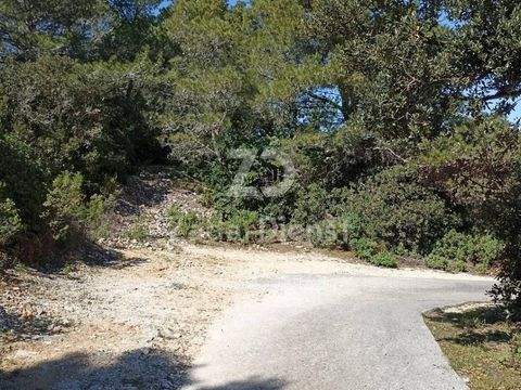 Iz - Rava Bauernhöfe, Landwirtschaft, Iz - Rava Forstwirtschaft