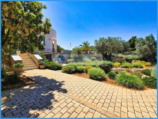 f001f3a3480142ab9ba4379355083eb4-original