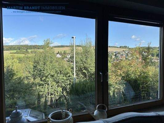 Ausblick auf Niederems