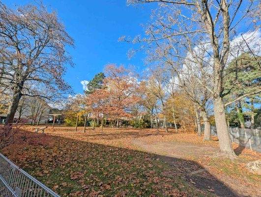 Naher Spielplatz PXL_20251030_113739565b.jpg