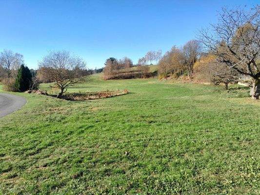 Wiesengrundstück, Fischteich