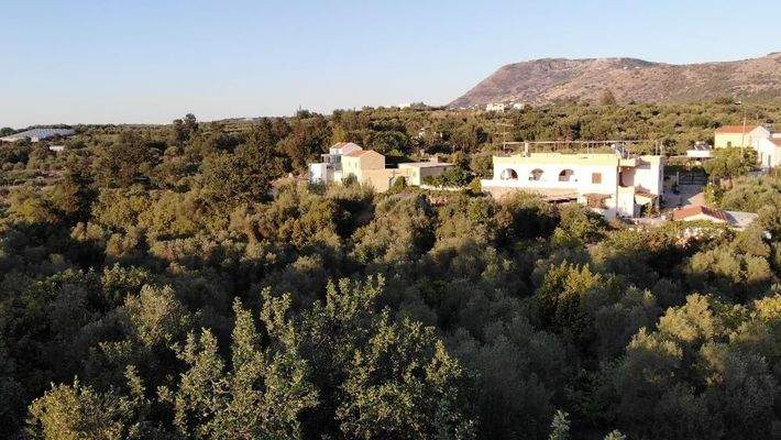 Kreta, Ag. Pavlos: Malerisches Grundstück in der Nähe von Gavalochori zum Verkauf