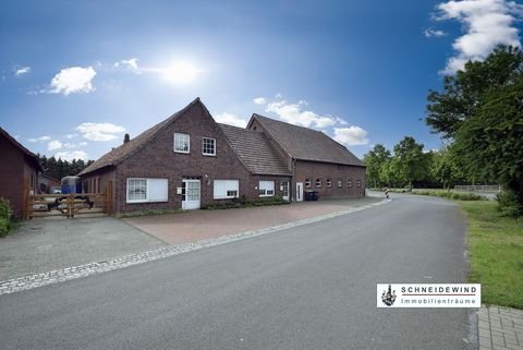 Barenburg Halle, Barenburg Hallenfläche