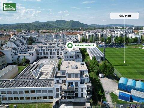 Wien Wohnungen, Wien Wohnung mieten