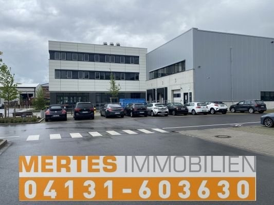 Mertes Immobilien