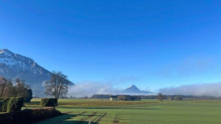 Aussicht - Altvilla Salzburg.jpeg