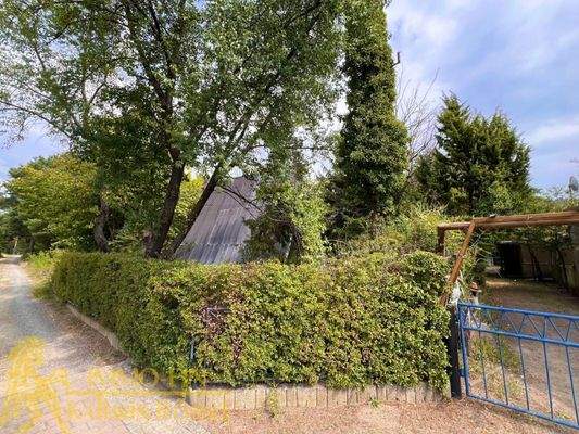 Blick von der Straße auf die versteckte Finnhütte