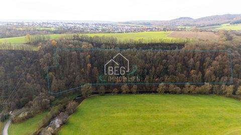 Schwäbisch Hall / Vogelholz Bauernhöfe, Landwirtschaft, Schwäbisch Hall / Vogelholz Forstwirtschaft