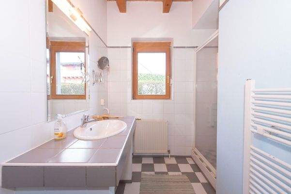 Birkenweg 4, 8051 Thal-60