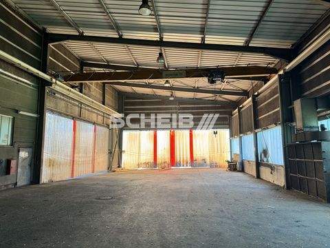 Hardthausen am Kocher Halle, Hardthausen am Kocher Hallenfläche