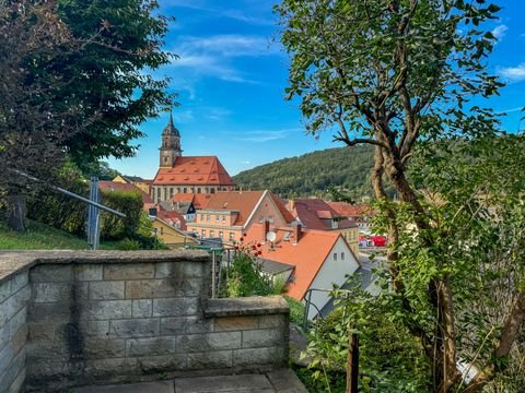 Königstein Häuser, Königstein Haus kaufen