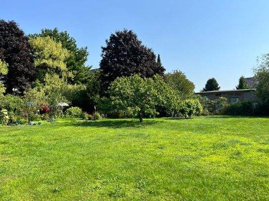 PHOTO-2025-10-09-08-36-39 (4).jpg