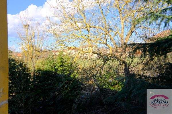 rif 1480(Copy86).jpg