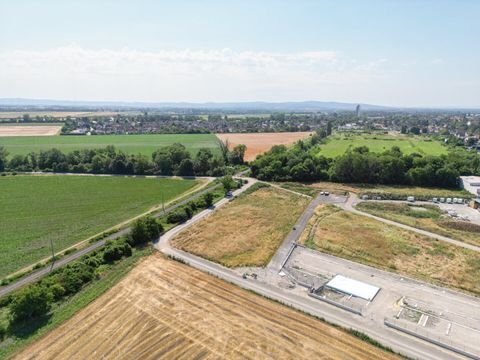 Ebreichsdorf Industrieflächen, Lagerflächen, Produktionshalle, Serviceflächen