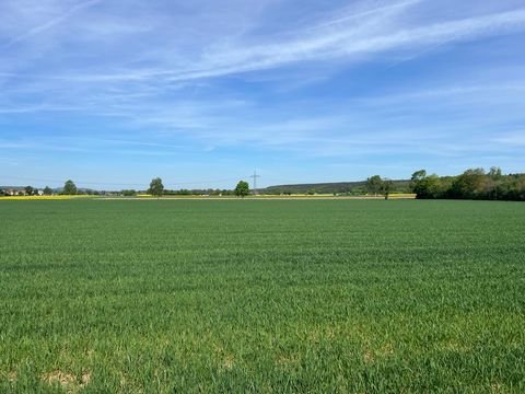 Hirschaid Bauernhöfe, Landwirtschaft, Hirschaid Forstwirtschaft