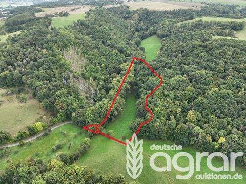 Klipphausen / Constappel Bauernhöfe, Landwirtschaft, Klipphausen / Constappel Forstwirtschaft