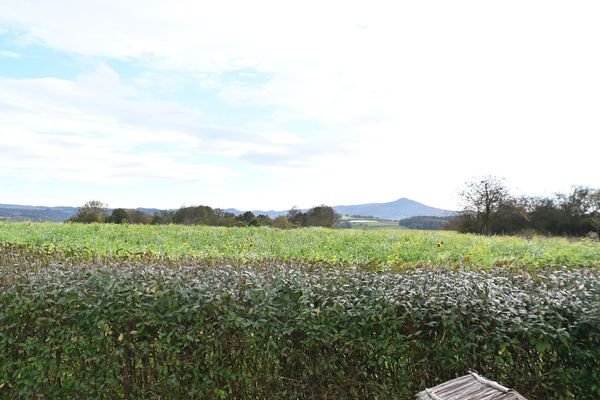 Ausblick  ins Siebengebirge