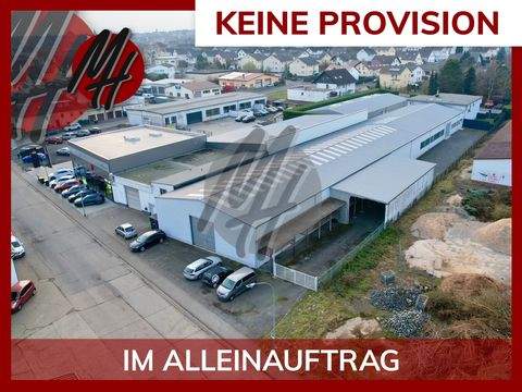 Wölfersheim Halle, Wölfersheim Hallenfläche