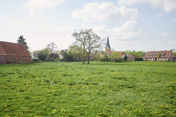 Impression von Schwarme