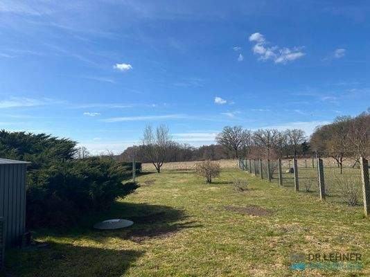 Blick auf den Garten 