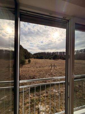 Blick aus dem Schlafzimmer ins Naturschutzgebiet