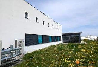 935f85c9-f659-48ba-bced-2c57c2f418ca-1617386000-fotor-2023091621933