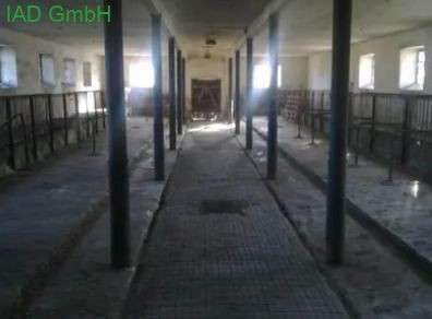 Kuhstall Erdgeschoss