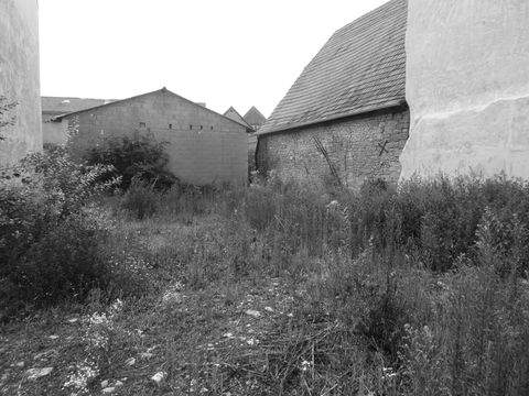 Alzey Grundstücke, Alzey Grundstück kaufen