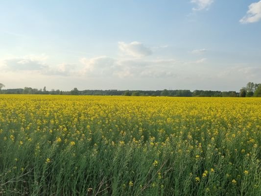 Umgebung