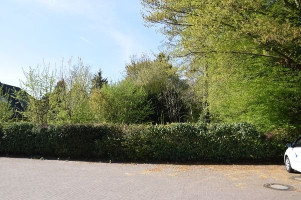 Fronstansicht