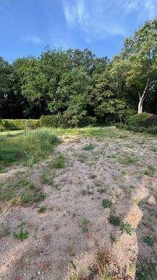 Bilder Baufrundstück (8).jpg