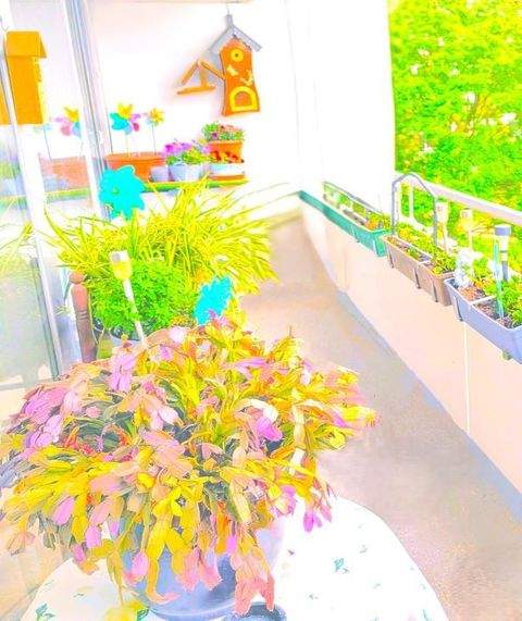 Kerpen Renditeobjekte, Mehrfamilienhäuser, Geschäftshäuser, Kapitalanlage