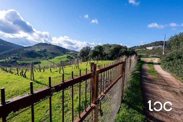 TERR. AGRICOLO-5.jpg