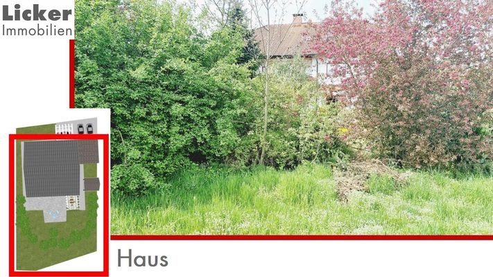 Haus