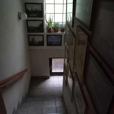 20240424_092920.jpg