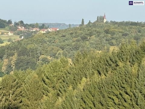 Sankt Peter am Ottersbach Bauernhöfe, Landwirtschaft, Sankt Peter am Ottersbach Forstwirtschaft