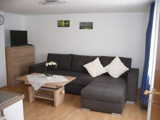 Wohn-/Schlafbereich im Appartement